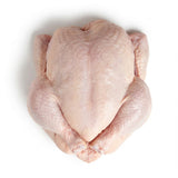 Whole Chicken (Size 16)
